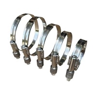 Collier de serrage à ressort réglable en acier inoxydable poli miroir, bord lisse, surface de tuyau sans rayures, en pouces
