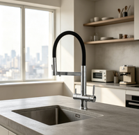 Nouveau Robinet de Cuisine Moderne en Acier Inoxydable Chromé à Double Poignée, Robinet Mélangeur 4-en-1 avec Eau Pétillante et Filtre 4 Voies