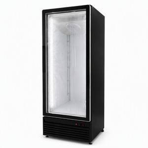 Refrigerador Vertical Comercial de Una Puerta de Vidrio para Bebidas, 600L, para Supermercados y Tiendas de Conveniencia, R290, Sin Escarcha - Product Image 6
