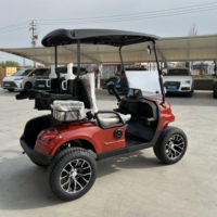 Voiturette de plage 2 places, chariot de golf, batterie Li-ion, charge rapide intelligente, VTT, club de campagne, service à vie, véhicule électrique OEM