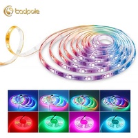 Bande Led étanche pour piscine, lumière sous l'eau, 5050 2835, qualité Ip68, Application extérieure, bande Led 24V