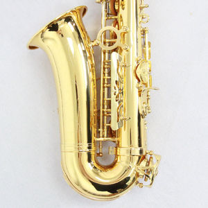 <span class=keywords><strong>Saxophone</strong></span> alto OEM Chine, <span class=keywords><strong>prix</strong></span> d'usine, <span class=keywords><strong>saxophone</strong></span> alto pas cher avec anches et étui - Product Image 4