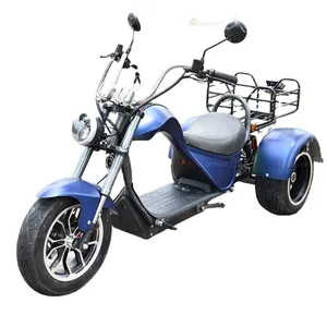 EEC COC der neuen Generation genehmigt Best Buy 60V 72V Adult Electric Tricycle