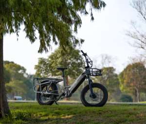 Vélo cargo électrique à deux roues le plus populaire de Mario pour la famille - Product Image 6