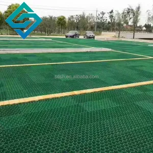 Trồng cỏ/Cỏ paver lưới/HDPE nhựa cho bãi đậu xe đường lái xe dốc