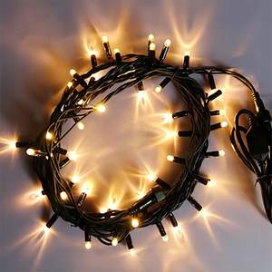 Offre Spéciale 10M 20M 30M 50M 100M LED cordes décoration lumière de noël 110v 230v clair PVC câble led guirlande lumineuse pour arbre de noël - Product Image 5