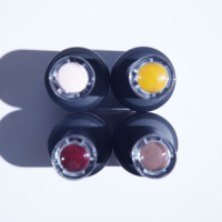 Fournisseur professionnel de vernis à ongles gel de peinture d'art d'ongle oem