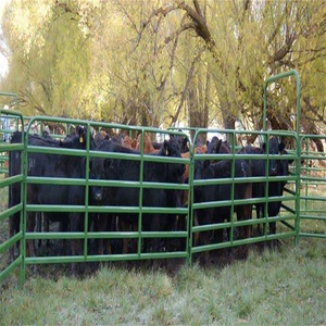 Pannelli per bovini zincati sostenibili di alta qualità facilmente assemblati pannelli per cortili di bestiame supportano la personalizzazione - Product Image 4