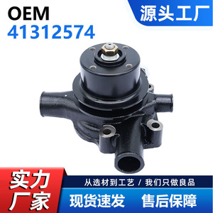 Bomba de Agua para Massey Ferguson 241331 41312574, Pieza de Repuesto Negra para Maquinaria Agrícola CW-MF004 - Product Image 5