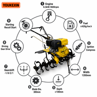 Motoculteur diesel à entraînement direct, moteur monocylindre refroidi par air, montage facile pour l'agriculture commerciale, dents en acier personnalisées OEM