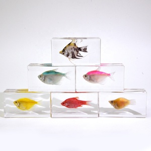 Acrylic Cá Và Vỏ Biển Nhựa Epoxy Động Vật Bộ Sưu Tập Cho Đám Cưới Trang Trí Nội Thất Thủ Công Giáo Dục Quà Tặng Giảng Dạy Tài Liệu - Product Image 3