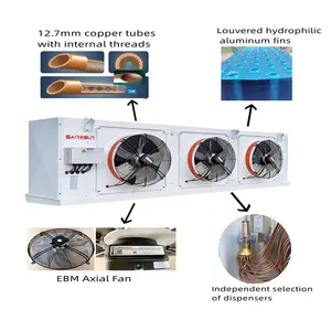 Enfriador de unidad de temperatura ultrabaja de alta calidad para cámara frigorífica positiva