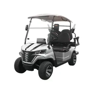 中国供应商批发新款高尔夫球车2 + 2座高尔夫球车电池锂buggypro TBM提升2 + 2电动车高尔夫