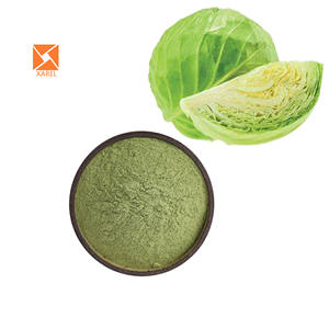 Semprotan alami murni hijau organik grosir pengering pengering bubuk jus kubis kering - Product Image 2