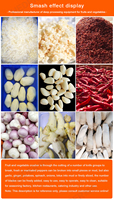 Industriële Groente-En Fruitmachine Peper Knoflook Gember Wortelhakselaar Roestvrijstalen Crusher Groothandelsprijs