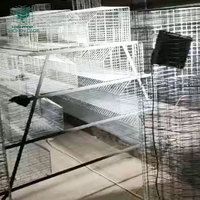 Système de cages automatiques de type A pour poussins d'un jour, galvanisées à chaud, pour l'élevage de poulettes et de poussins