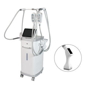 Système amincissant professionnel 5-en-1 avec rouleau RF métallique, cryolipolyse LED et laser facial pour les centres de beauté et de bien-être - Product Image 1