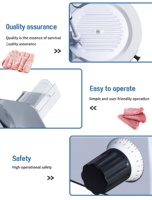 Nouvelle machine à trancher la viande entièrement automatique en acier inoxydable pour viande congelée 220V Garantie 1 an