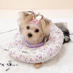 Anti-Bite tasarımı ile konfor Pet yaka sunan yumuşak pamuklu malzemeden yapılmış mükemmel kalite koruyucu Pet kafa koni - Product Image 4
