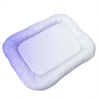 Tapis rafraîchissant 3D pour chat Summer Ice House, en polyester respirant, durable et portable pour animaux de compagnie