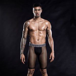 JSY, ropa interior sexy para hombre, bragas de malla transpirable, lencería sexy erótica para hombre transparente para adultos - Product Image 2