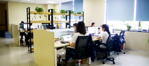 Luxus Ortho pä dische <span class=keywords><strong>Memory</strong></span> <span class=keywords><strong>Foam</strong></span> Haustier Bett Kauen resistente Rechteck Kiste Pad für Hunde und Katzen XL Größe - Product Image 6