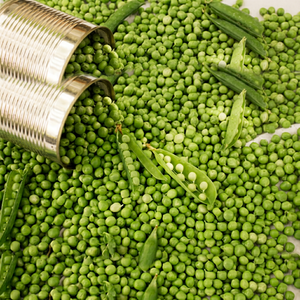 Nouvelle Saison Pois Verts Indiens en Conserve, Qualité Supérieure Sélectionnée, Saveur Salée, Texture Tendre, Approvisionnement Fiable en Gros pour le Marché Mondial - Product Image 1
