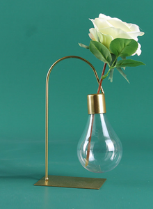 Creativo scaffale <span class=keywords><strong>in</strong></span> metallo vaso idroponico pianta trasparente desktop appeso <span class=keywords><strong>plastica</strong></span> fioriera vaso lampadina - Product Image 4