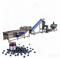 Automatische MangoJam-verwerkingslijn met geschraapte oppervlakte kookketel, meng- en vulapparatuur, compact