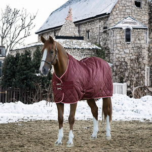 Manta para Caballo Acolchada con Logotipo Personalizado, Manta de Poliéster para Caballo, Cubierta para Montar en Invierno - Product Image 3