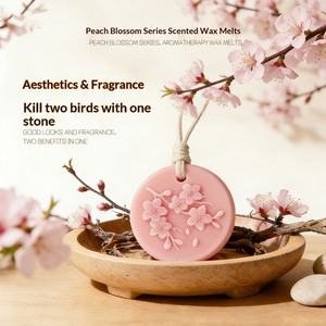 Cera aromática vegetal en rodajas con aroma a osmanthus, colgante artístico con fragancia en relieve, aroma duradero, accesorios de regalo para armario - Product Image 4