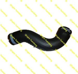 Best new products of 2023 Spare Parts Cooling system Air Intake Hose for Citroen Peugeot Fiat 0382.KA