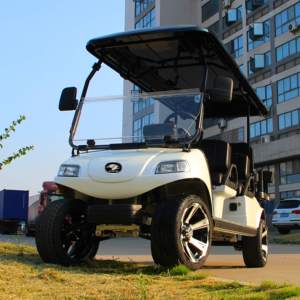 HDK EVOLUTION Carrier 6 plus 6 places 48V batterie au lithium tout-terrain électrique bus touristique chariot de club de golf - Product Image 4