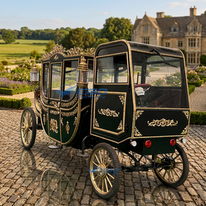 Chariot de luxe électrique sans chevaux pour 6 personnes, idéal pour les mariages, les événements royaux et les excursions touristiques en extérieur - Product Image 1