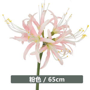 Vente en gros <span class=keywords><strong>de</strong></span> tissu <span class=keywords><strong>de</strong></span> soie artificielle avec des fleurs au toucher réel <span class=keywords><strong>Mandala</strong></span> rouge <span class=keywords><strong>fleur</strong></span> <span class=keywords><strong>de</strong></span> sable petit bouquet <span class=keywords><strong>de</strong></span> <span class=keywords><strong>lotus</strong></span> cramoisi - Product Image 5