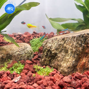 Natuurlijk Vulkanisch Gesteente Milieuvriendelijke Luxe Filtermedia Voor Aquaria Water-En Luchtzuivering-Badkamer-En Desktopgebruik - Product Image 5