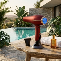 WLS-1604 Sèche-cheveux professionnel à prix avantageux avec protection intelligente contre la surchauffe, sèche-cheveux ionique à lumière bleue pour tous types de cheveux