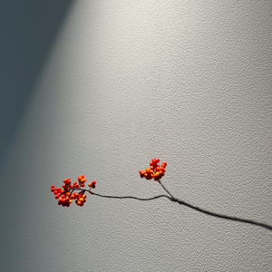 Chinesische Farbhersteller Hocheffiziente Waschbare Wasserbasierte Farbenfrohe Glänzende Innenwand-Dekorationsfarben - Product Image 6