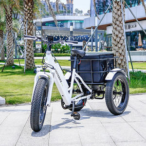 <span class=keywords><strong>Ebike</strong></span> cargo Fat tire mascota perro al aire libre camping accesorios móvil comida viaje bicicleta eléctrica <span class=keywords><strong>remolque</strong></span> - Product Image 5