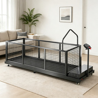 Tapis roulant d'entraînement d'agilité en acier inoxydable écologique EUR VET avec vibration automatique pour grands chiens et petits animaux