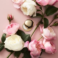 Parfum solide personnalisé pour femmes et hommes, Mini crème de parfum organique pour le corps sans alcool, forme Ovale, vieille épice, bâton déodorant