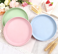 Plaque en silicone jetable de qualité alimentaire durable résistante à la chaleur sans BPA gravure personnalisée sans danger pour restaurant fête usage domestique