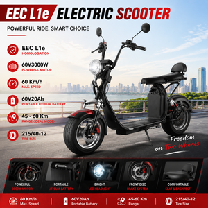 Scooter Premium avec Moteur 60V3000W, Vitesse Maximale de 60 km/h, Batterie au Lithium Amovible, Certifié EEC L1e pour les Déplacements Urbains, Haute Puissance - Product Image 1