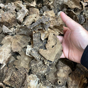 Chips de Madera de Oud Premium 3A+, Fragancia Natural de Agarwood, Oud Bakhoor Premium - Product Image 4