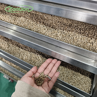Ligne de stérilisation continue à la vapeur pour semences, céréales, blé, grains bruts, riz, épices, piments, cumin, cardamome