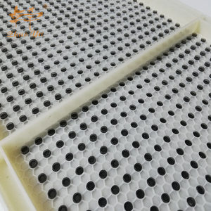 Nouveau Produit Apicole Apicole Pas Greffage <span class=keywords><strong>Reine</strong></span> Élevage Kit Fermes Nourriture & Boissons Usine Fourni 1 AN D'assistance En Ligne - Product Image 1