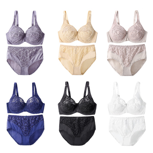 Beijizhi — ensemble de lingerie en Nylon et dentelle pour femmes, culotte de haute qualité, soutien-gorge et slip à armatures - Product Image 6