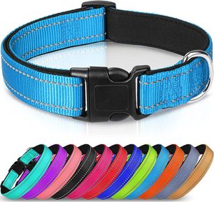 Collar de Perro Personalizable, Simple, en Oferta, Seguro, Ajustable, Duradero, con Hebilla, Cintas de Nailon, Color Rojo Reflectante - Product Image 6