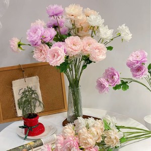 Flores Artificiales de Peonía de 6 Cabezas, Realistas y Estéticas, Hechas a Mano, para Decoración de Bodas y Hogar, Tacto Real, Flores Falsas Realistas, Venta al Por Mayor - Product Image 4