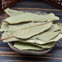 daun jambu biji kering berkualitas tinggi harga pabrik teh daun jambu biji